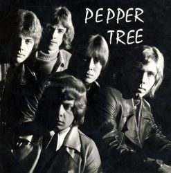 peppertree2