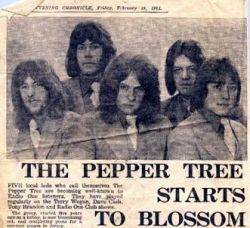 peppertree5